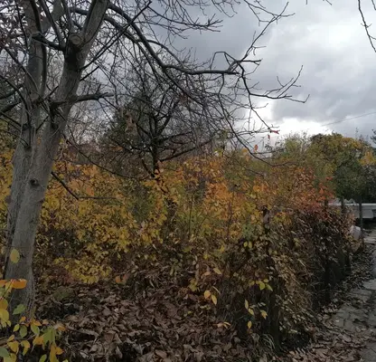 Photo 4 — Plot in Sofiya, Malinova Dolina