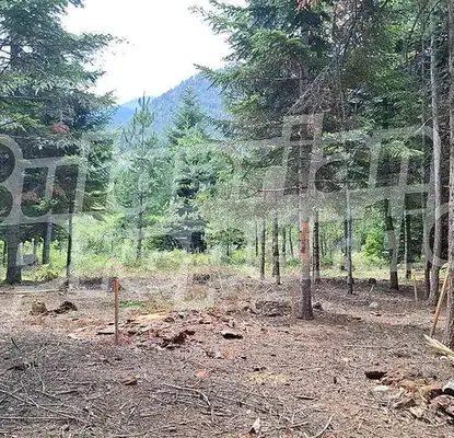 Снимка 4 — Парцел в Благоевград, Банско