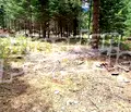 Снимка 5 — Парцел в Благоевград, Банско