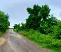 Снимка 2 — Парцел в Бургас, Обзор