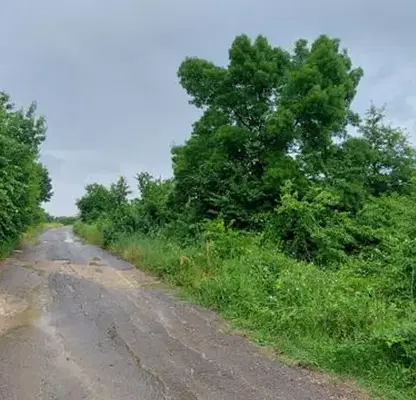 Photo 2 — Plot in Oblast Burgas, Obzor