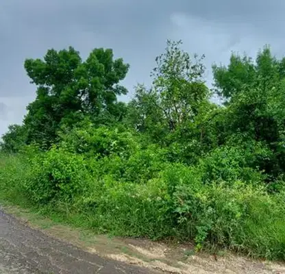 Photo 4 — Plot in Oblast Burgas, Obzor