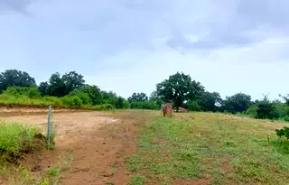 Парцел в Бургас, Обзор