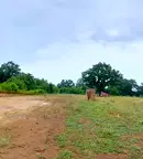 Парцел в Бургас, Обзор