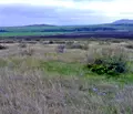 Снимка 2 — Парцел в Бургас, к.к. Слънчев бряг