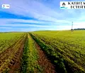 Снимка 5 — Парцел в Бургас, с. Александрово