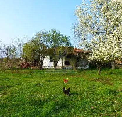 Photo 5 — Plot in Oblast Burgas, Jitosvyat