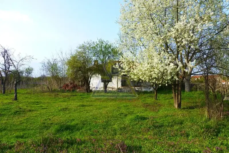 Plot in Oblast Burgas, Jitosvyat