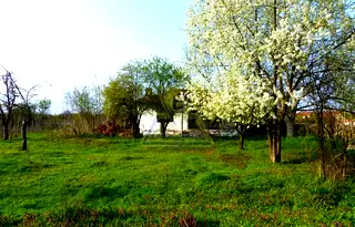 Парцел в Бургас, с. Житосвят