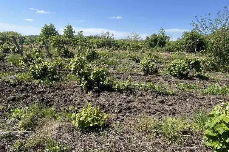 Plot in Oblast Burgas, Kamenar