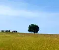Снимка 2 — Парцел в Бургас, с. Лозенец