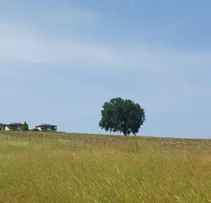 Photo 2 — Plot in Oblast Burgas, Lozenec