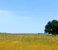 Снимка 3 — Парцел в Бургас, с. Лозенец