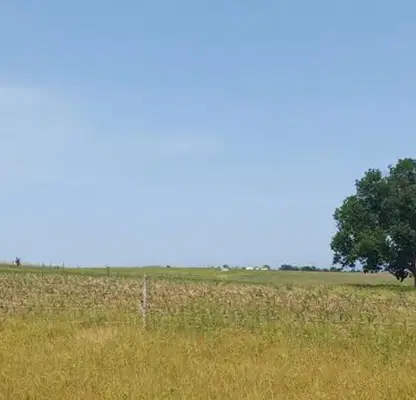 Photo 3 — Plot in Oblast Burgas, Lozenec