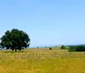 Снимка 4 — Парцел в Бургас, с. Лозенец