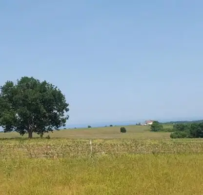 Photo 4 — Plot in Oblast Burgas, Lozenec