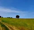 Снимка 5 — Парцел в Бургас, с. Лозенец