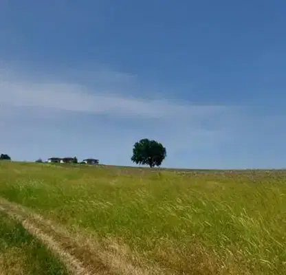 Photo 5 — Plot in Oblast Burgas, Lozenec