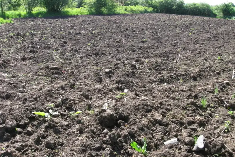 Парцел в Добрич, с. Безводица
