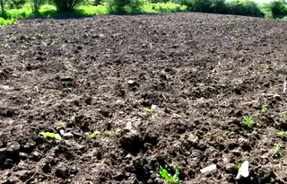Парцел в Добрич, с. Безводица