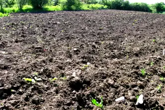 Парцел в Добрич, с. Безводица