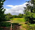 Снимка 2 — Парцел в Добрич, с. Попгригорово