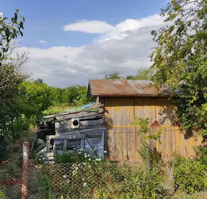 Photo 3 — Plot in Oblast Dobrich, Popgrigorovo