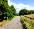 Снимка 4 — Парцел в Добрич, с. Попгригорово