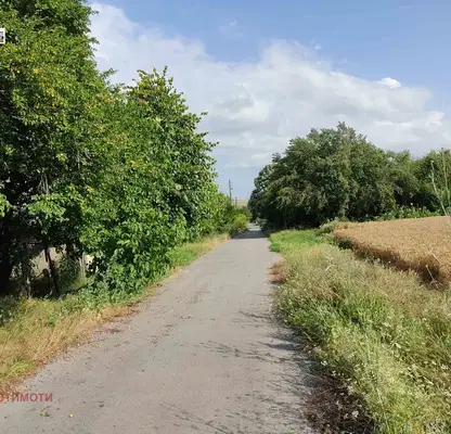 Photo 4 — Plot in Oblast Dobrich, Popgrigorovo