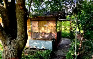 Парцел в Добрич, с. Попгригорово