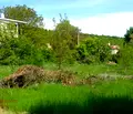 Снимка 5 — Парцел в Добрич, с. Прилеп