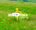 Снимка 2 — Парцел в Добрич, с. Рогачево