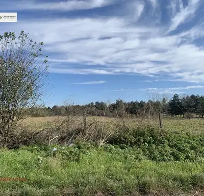 Photo 3 — Plot in Oblast Dobrich, Senokos