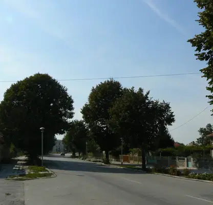 Снимка 3 — Парцел в Добрич, с. Сенокос