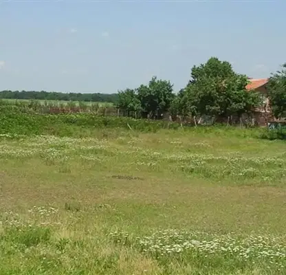 Photo 5 — Plot in Dobrich, Slaveevo