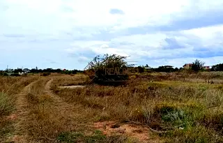 Парцел в Добрич, с. Топола