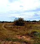 Парцел в Добрич, с. Топола