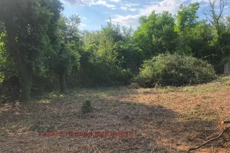 Plot in Oblast Gabrovo, Boriki