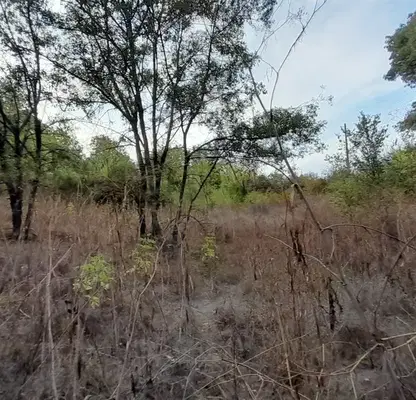 Photo 3 — Plot in Oblast Gabrovo, Gozdeika