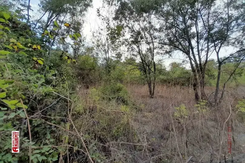 Plot in Oblast Gabrovo, Gozdeika