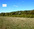Снимка 4 — Парцел в Габрово, с. Киевци