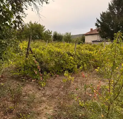 Photo 4 — Plot in Oblast Gabrovo, Kormyansko