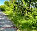 Снимка 2 — Парцел в Габрово, с. Костенковци