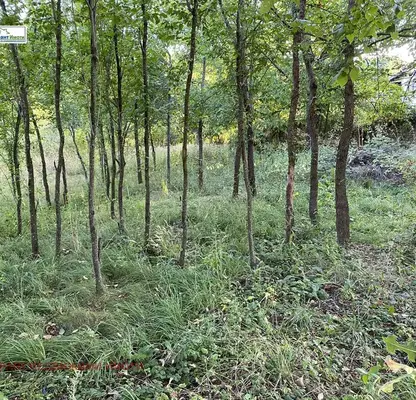 Photo 3 — Plot in Gabrovo, Lesicharka