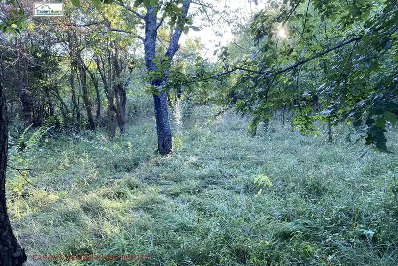 Plot in Gabrovo, Lesicharka
