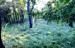 Парцел в Габрово, с. Лесичарка