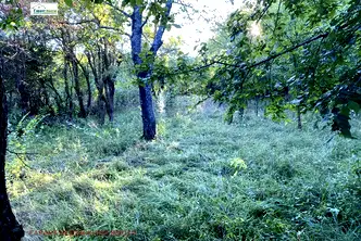 Парцел в Габрово, с. Лесичарка