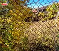 Снимка 3 — Парцел в Габрово, с. Междени