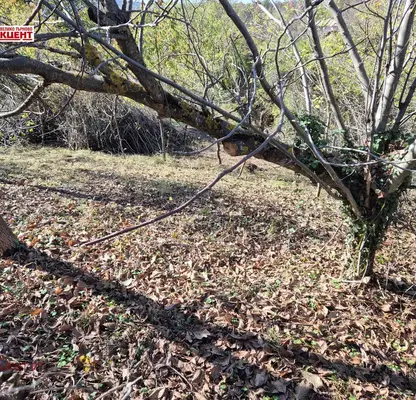Снимка 4 — Парцел в Габрово, с. Междени