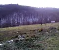 Снимка 2 — Парцел в Габрово, с. Раховци